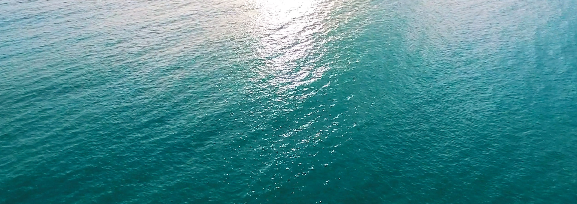 WEBSITE_SLIDER_WORLD_OCEANS_DAY
